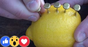 They Didn't Teach Me To Start A Fire In Boy Scouts Like This!