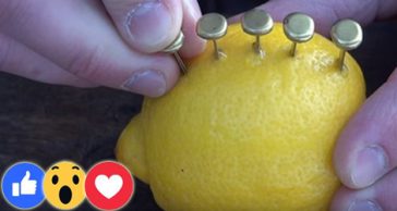 They Didn't Teach Me To Start A Fire In Boy Scouts Like This!