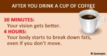After You Drink A Cup Of Coffee This Is What Happens To Your Body