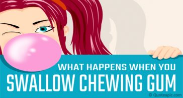 What Really Happens When You Swallow Chewing Gum