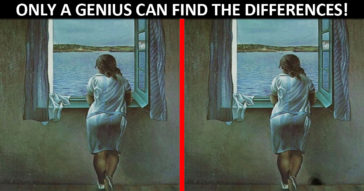 Only Geniuses Are Able To Spot All The Differences In These Images !