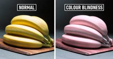 This Is How People With Different Types Of Colour Blindness See The World We Live In