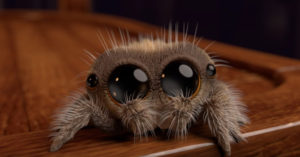 Meet Lucas, The Most Adorable Spider That Will Help You Overcome Your Fear Of Spiders
