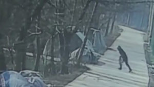 Dog Owner In China Rams Man Into A Wall And Kills Him For Poisoning His Dog