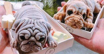 Taiwan Restaurant Serves Wrinkly Ice-Cream Puppies Almost Too Real To Eat