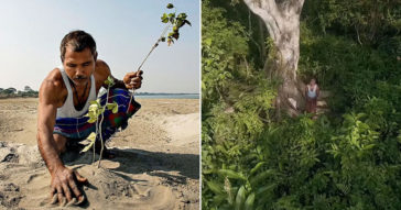 This Man Turned A Desert Into A Forest By Planting A Tree Everyday For The Past 40 Years