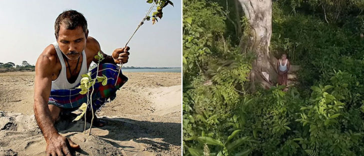 This Man Turned A Desert Into A Forest By Planting A Tree Everyday For The Past 40 Years
