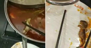 Pregnant Woman Finds Dead Rat In Her Soup, Restaurant Offers Her Money For An Abortion