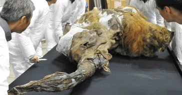 Russia Is Opening A Jurassic Park Style Cloning Facility To Revive Extinct Species