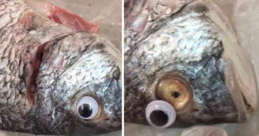 This Store Got Caught Sticking Googly Eyes On Fish To Make Them Look Fresh