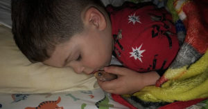 Boy Accidentally Kills Goldfish After Taking Him Out Of Tank To Cuddle