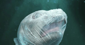 Suffocating Images Highlight the Damage Plastic Pollution has on Marine Life